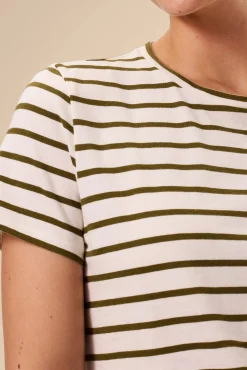 Amour Vert Berkeley Organic Cotton Tee IvoryOliveStripe Hot